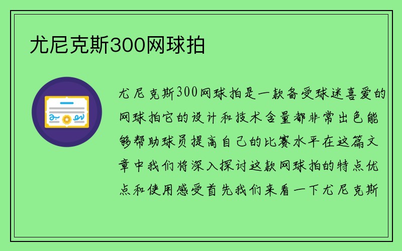 尤尼克斯300网球拍