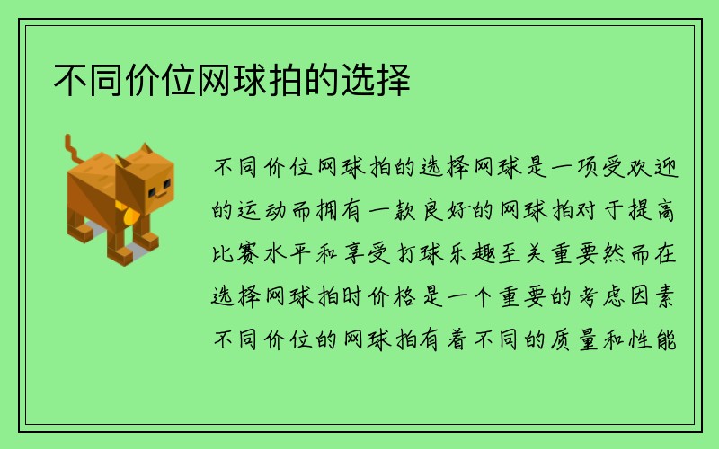 不同价位网球拍的选择